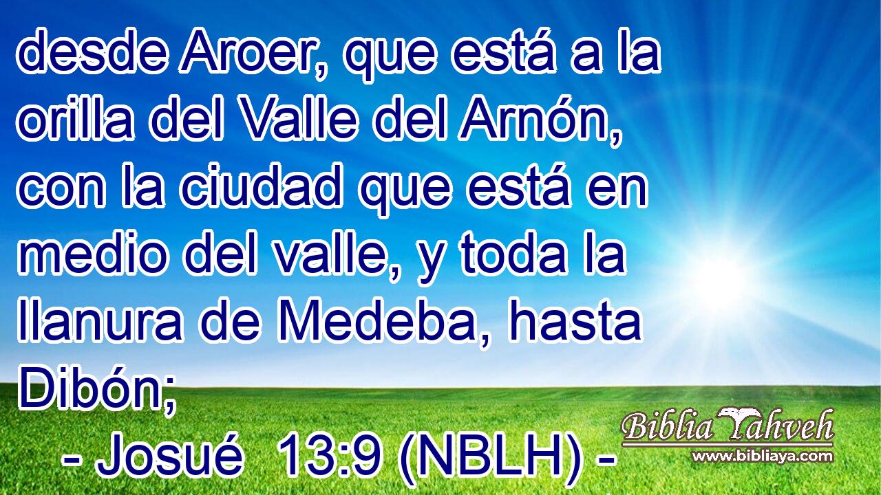  desde Aroer, que está a la orilla del Valle del Arnón, con la ciudad que está en medio del valle, y toda la llanura de Medeba, hasta Dibón; 