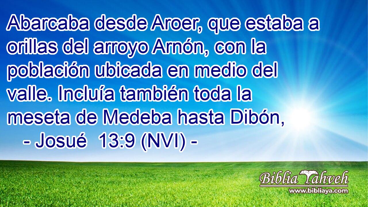  Abarcaba desde Aroer, que estaba a orillas del arroyo Arnón, con la población ubicada en medio del valle. Incluía también toda la meseta de Medeba hasta Dibón, 
