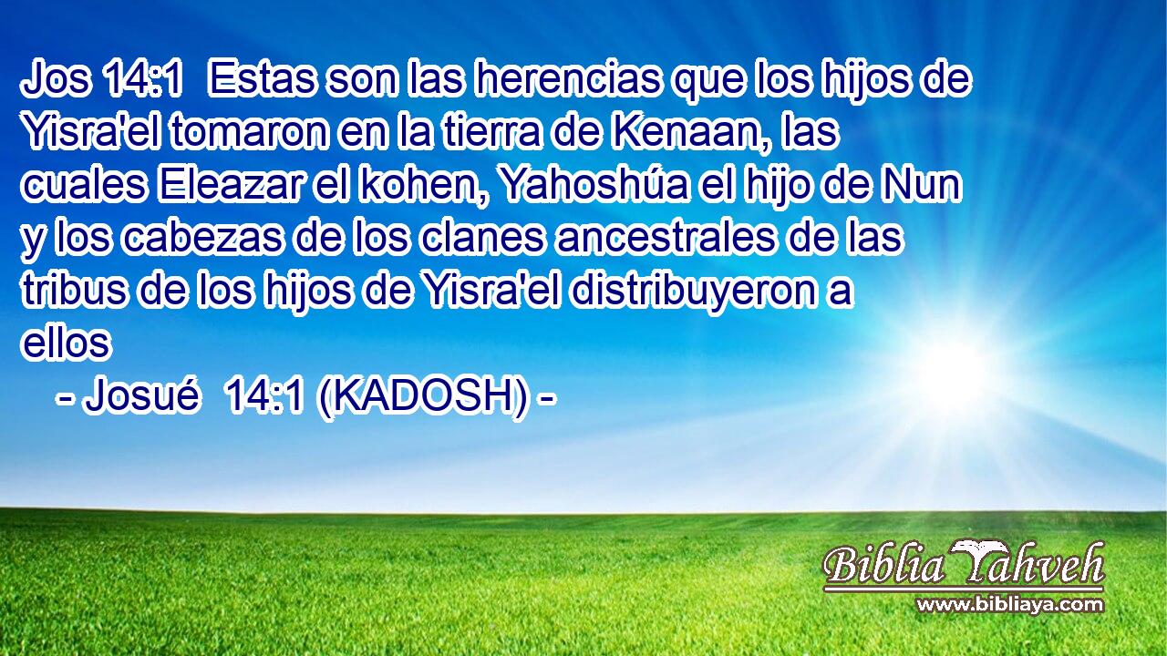  Estas son las herencias que los hijos de Yisra'el tomaron en la tierra de Kenaan, las cuales Eleazar el kohen, Yahoshúa el hijo de Nun y los cabezas de los clanes ancestrales de las tribus de los hijos de Yisra'el distribuyeron a ellos 