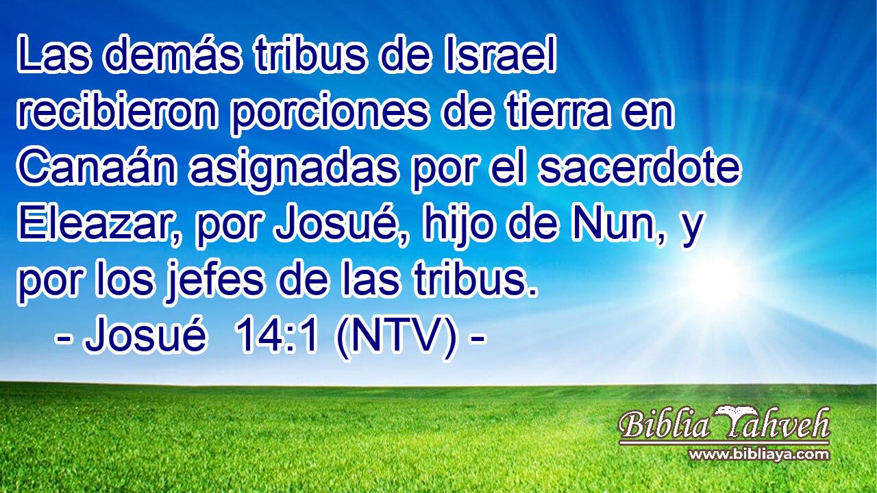 Las demás tribus de Israel recibieron porciones de tierra en Canaán asignadas por el sacerdote Eleazar, por Josué, hijo de Nun, y por los jefes de las tribus.