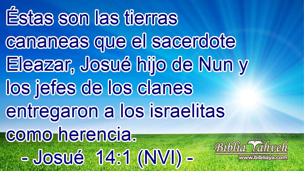  Éstas son las tierras cananeas que el sacerdote Eleazar, Josué hijo de Nun y los jefes de los clanes entregaron a los israelitas como herencia. 
