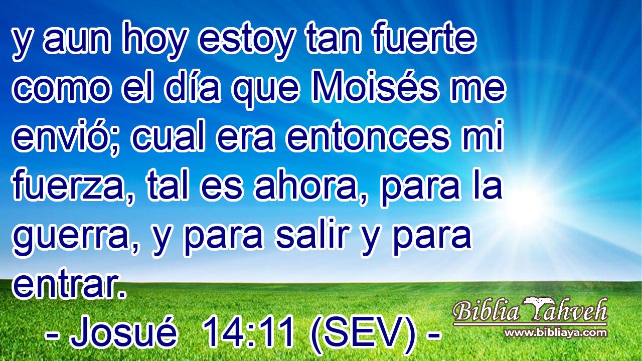 y aun hoy estoy tan fuerte como el día que Moisés me envió; cual era entonces mi fuerza, tal es ahora, para la guerra, y para salir y para entrar.