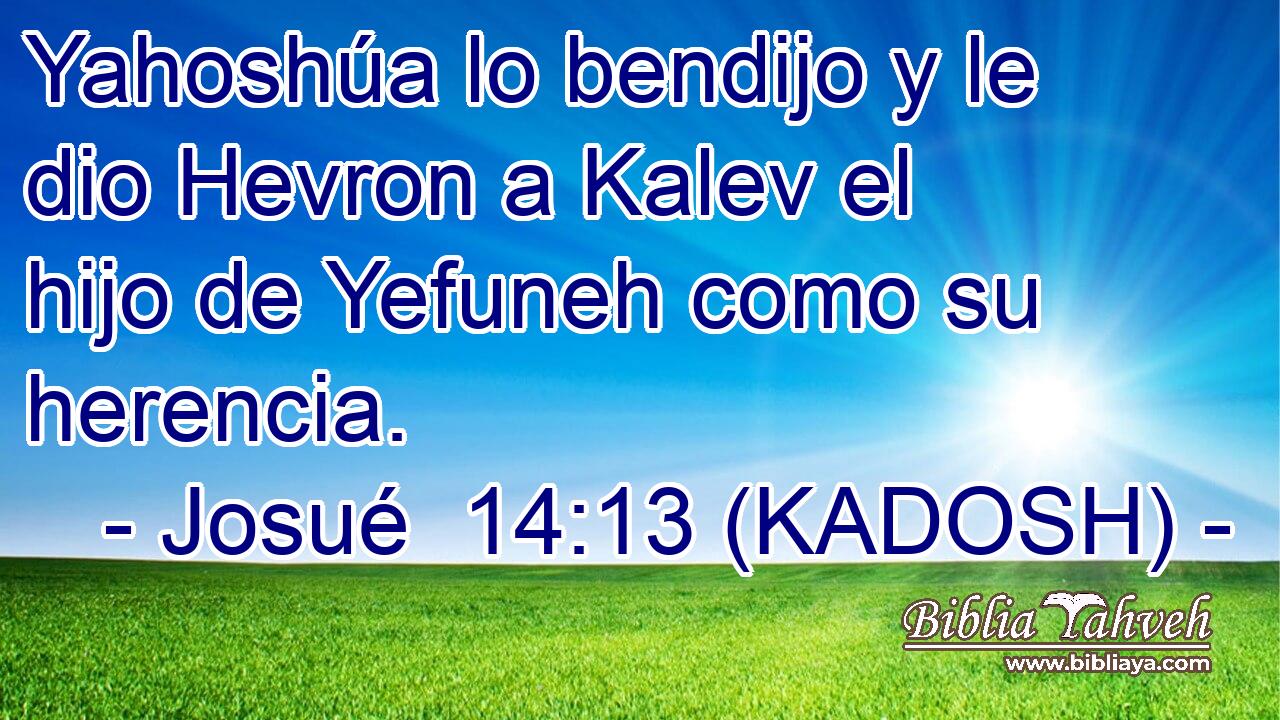  Yahoshúa lo bendijo y le dio Hevron a Kalev el hijo de Yefuneh como su herencia. 