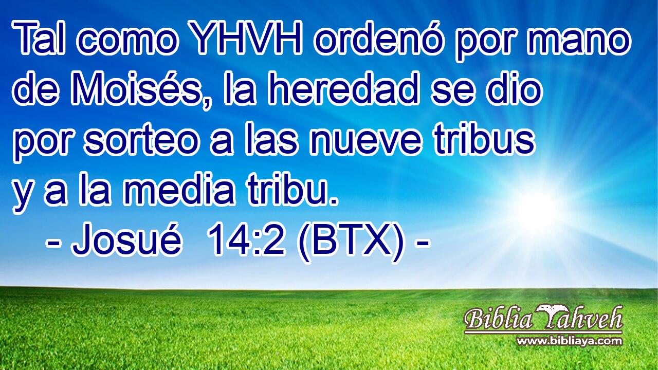 Tal como YHVH ordenó por mano de Moisés, la heredad se dio por sorteo a las nueve tribus y a la media tribu.