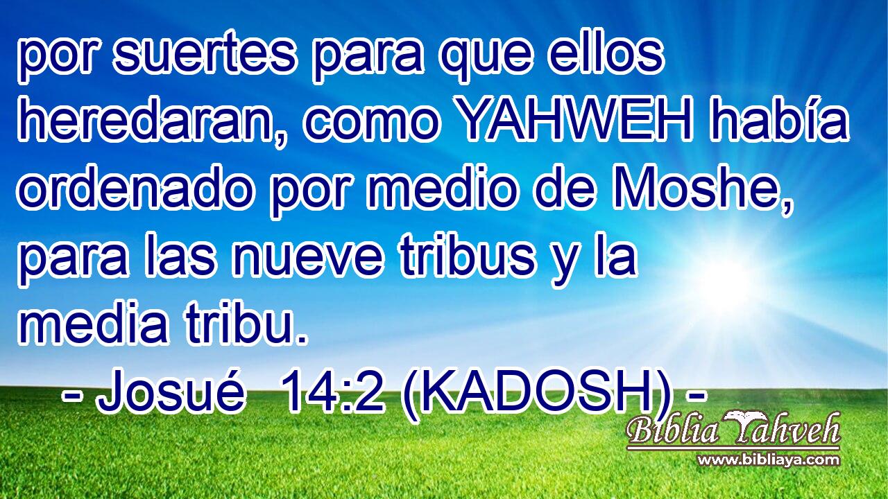  por suertes para que ellos heredaran, como YAHWEH había ordenado por medio de Moshe, para las nueve tribus y la media tribu. 