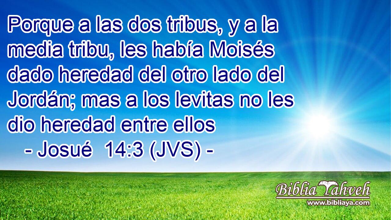 Porque a las dos tribus, y a la media tribu, les había Moisés dado heredad del otro lado del Jordán; mas a los levitas no les dio heredad entre ellos