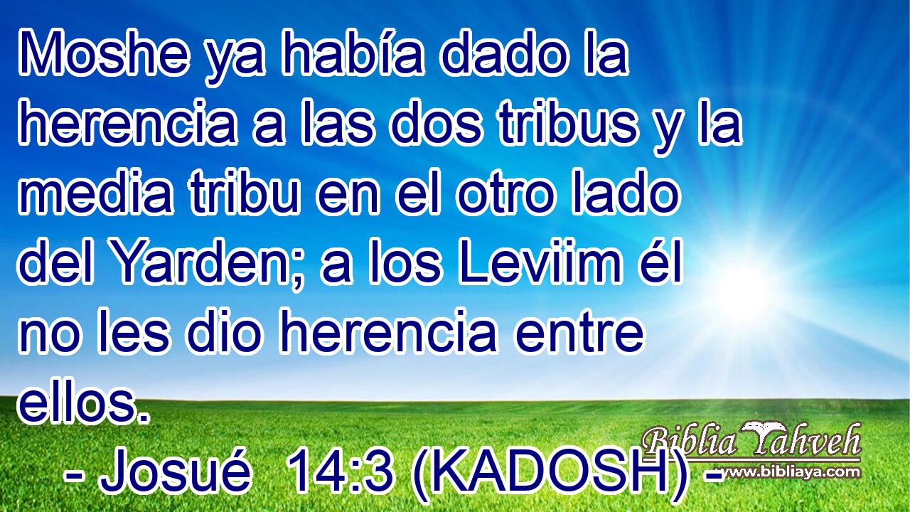  Moshe ya había dado la herencia a las dos tribus y la media tribu en el otro lado del Yarden; a los Leviim él no les dio herencia entre ellos. 