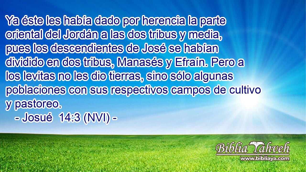  Ya éste les había dado por herencia la parte oriental del Jordán a las dos tribus y media, pues los descendientes de José se habían dividido en dos tribus, Manasés y Efraín. Pero a los levitas no les dio tierras, sino sólo algunas poblaciones con sus respectivos campos de cultivo y pastoreo. 
