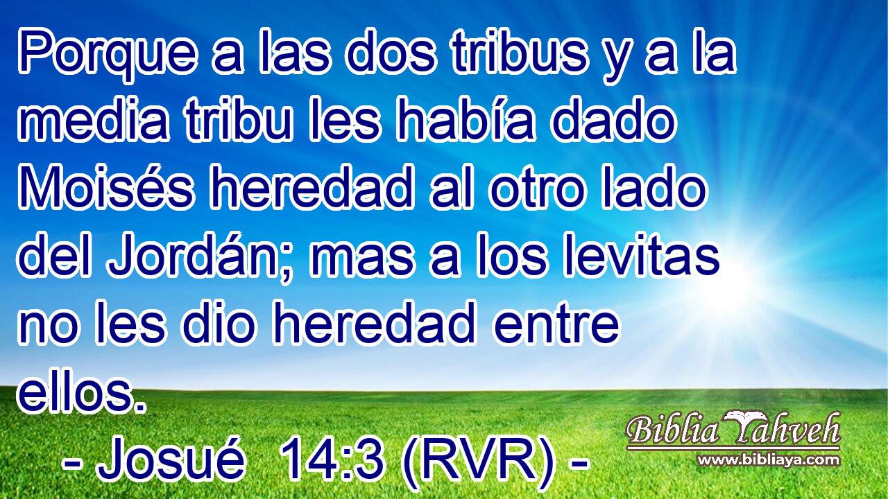 Porque a las dos tribus y a la media tribu les había dado Moisés heredad al otro lado del Jordán; mas a los levitas no les dio heredad entre ellos.