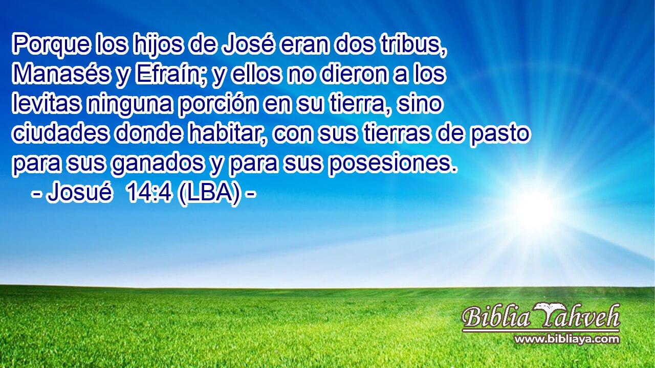 Porque los hijos de José eran dos tribus, Manasés y Efraín; y ellos no dieron a los levitas ninguna porción en su tierra, sino ciudades donde habitar, con sus tierras de pasto para sus ganados y para sus posesiones.