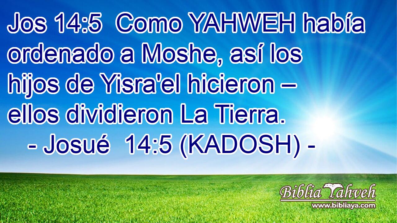  Como YAHWEH había ordenado a Moshe, así los hijos de Yisra'el hicieron – ellos dividieron La Tierra. 