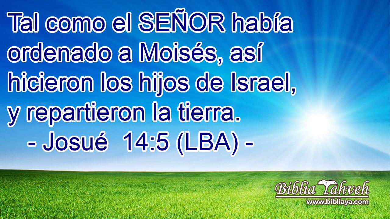 Tal como el SEÑOR había ordenado a Moisés, así hicieron los hijos de Israel, y repartieron la tierra.