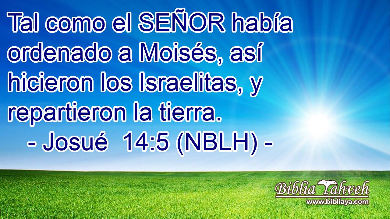  Tal como el SEÑOR había ordenado a Moisés, así hicieron los Israelitas, y repartieron la tierra. 