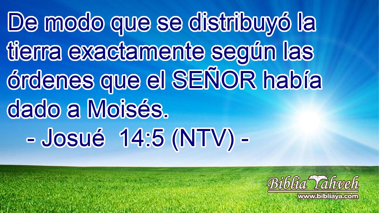 De modo que se distribuyó la tierra exactamente según las órdenes que el SEÑOR había dado a Moisés.
