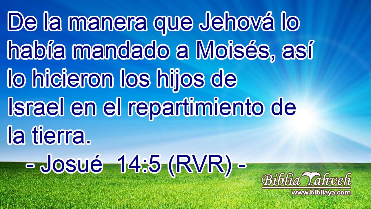 De la manera que Jehová lo había mandado a Moisés, así lo hicieron los hijos de Israel en el repartimiento de la tierra.