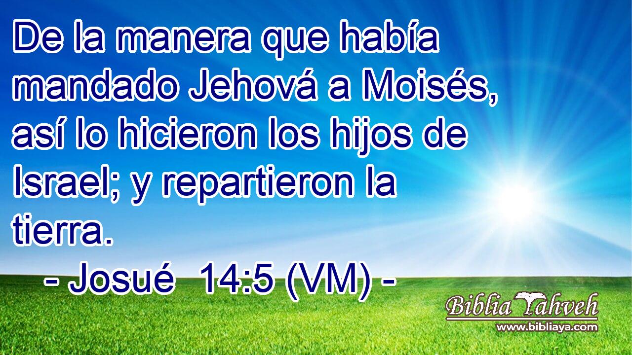 De la manera que había mandado Jehová a Moisés, así lo hicieron los hijos de Israel; y repartieron la tierra. 