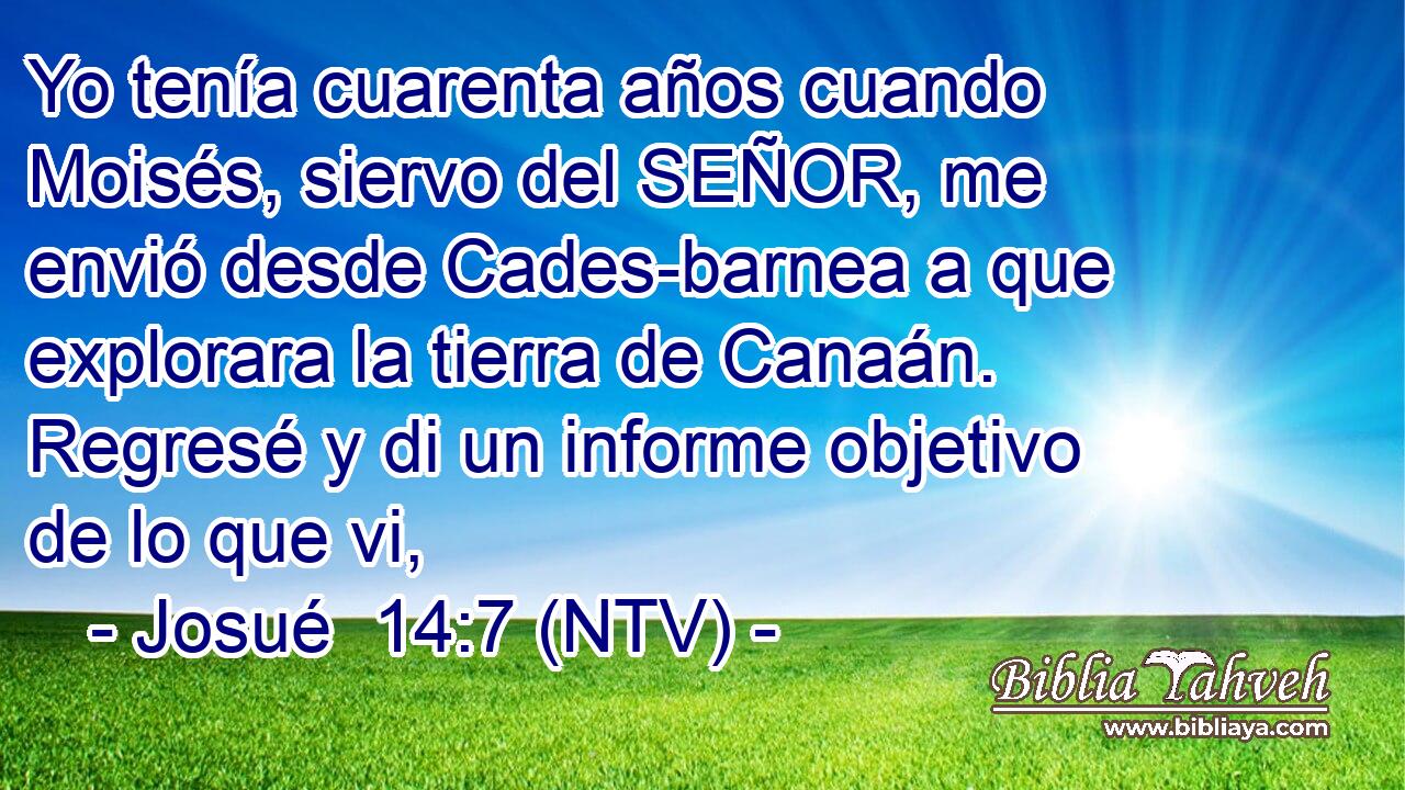 Yo tenía cuarenta años cuando Moisés, siervo del SEÑOR, me envió desde Cades-barnea a que explorara la tierra de Canaán. Regresé y di un informe objetivo de lo que vi,