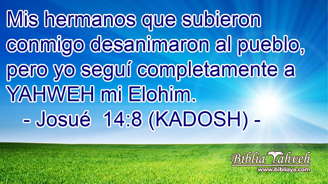  Mis hermanos que subieron conmigo desanimaron al pueblo, pero yo seguí completamente a YAHWEH mi Elohim. 