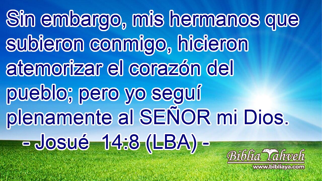 Sin embargo, mis hermanos que subieron conmigo, hicieron atemorizar el corazón del pueblo; pero yo seguí plenamente al SEÑOR mi Dios.