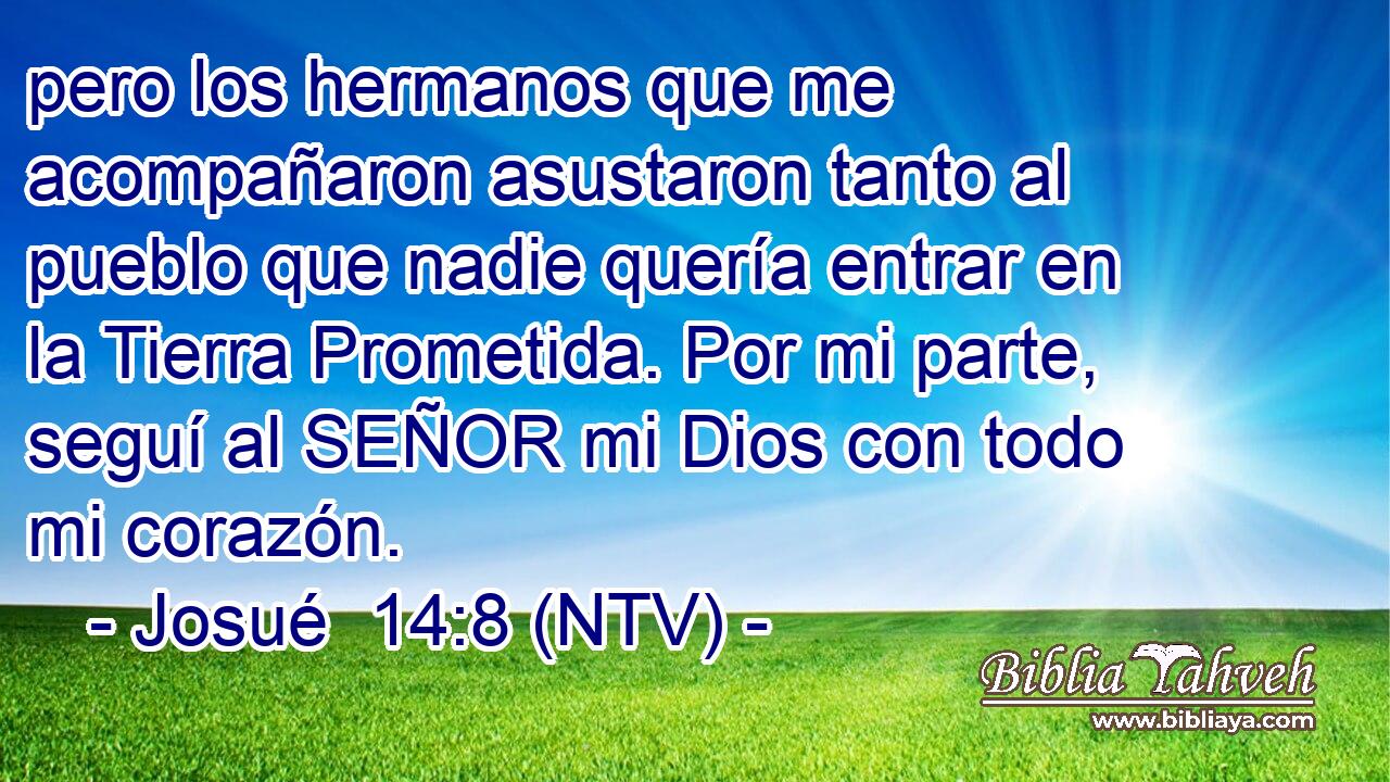 pero los hermanos que me acompañaron asustaron tanto al pueblo que nadie quería entrar en la Tierra Prometida. Por mi parte, seguí al SEÑOR mi Dios con todo mi corazón.