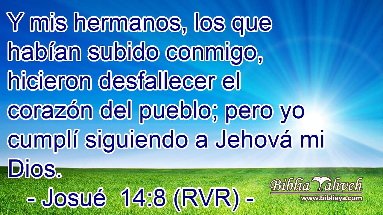 Y mis hermanos, los que habían subido conmigo, hicieron desfallecer el corazón del pueblo; pero yo cumplí siguiendo a Jehová mi Dios.