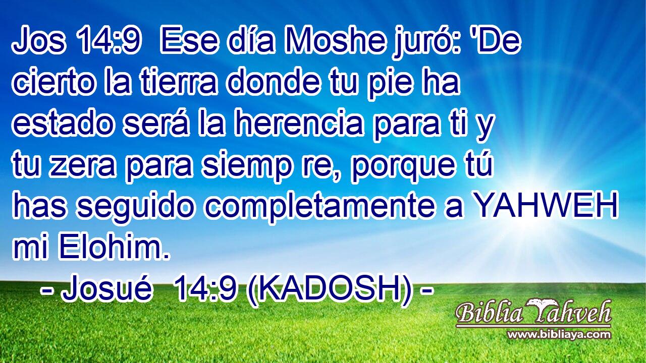  Ese día Moshe juró: 'De cierto la tierra donde tu pie ha estado será la herencia para ti y tu zera para siemp re, porque tú has seguido completamente a YAHWEH mi Elohim. 