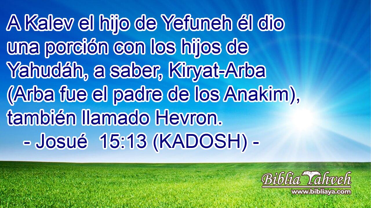  A Kalev el hijo de Yefuneh él dio una porción con los hijos de Yahudáh, a saber, Kiryat-Arba (Arba fue el padre de los Anakim), también llamado Hevron. 