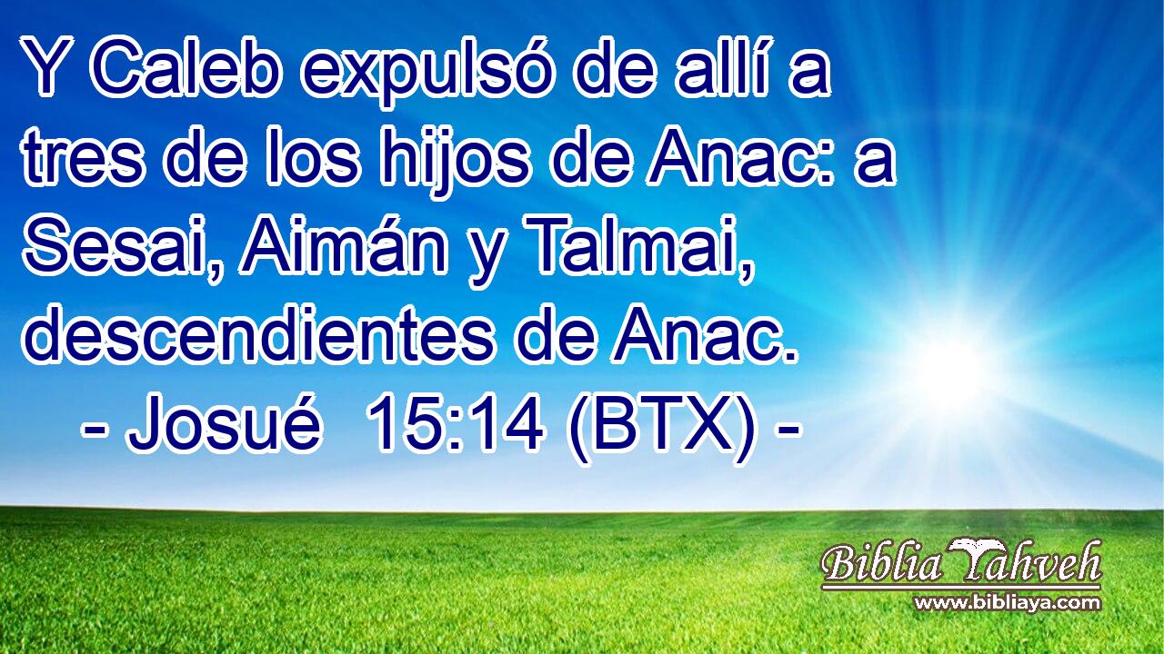 Y Caleb expulsó de allí a tres de los hijos de Anac: a Sesai, Aimán y Talmai, descendientes de Anac.