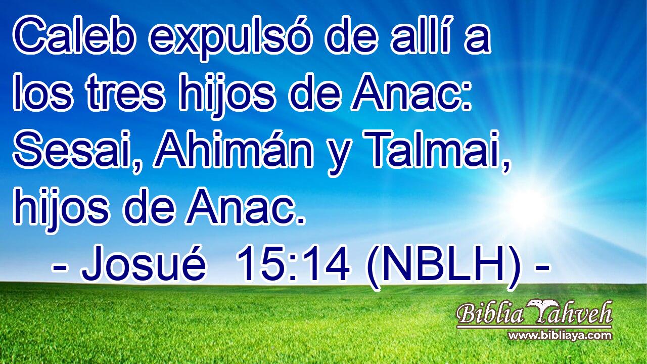  Caleb expulsó de allí a los tres hijos de Anac: Sesai, Ahimán y Talmai, hijos de Anac. 