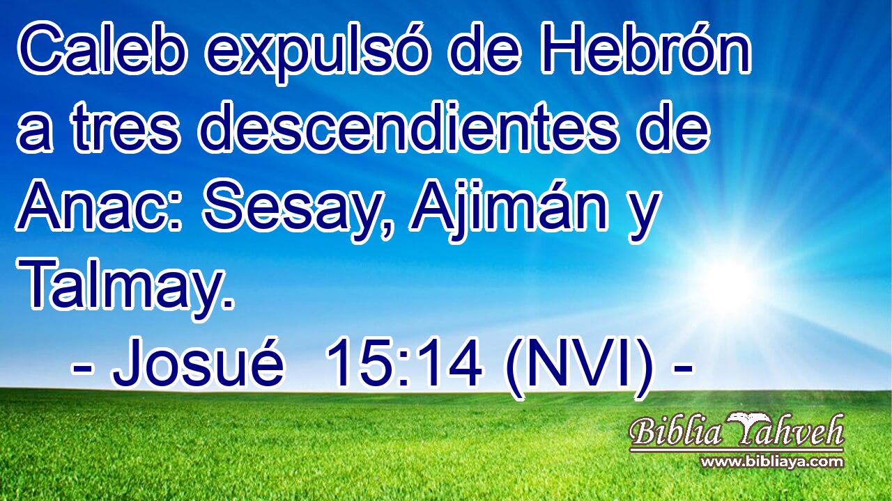  Caleb expulsó de Hebrón a tres descendientes de Anac: Sesay, Ajimán y Talmay. 