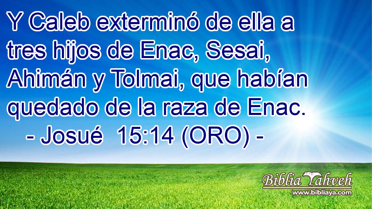  Y Caleb exterminó de ella a tres hijos de Enac, Sesai, Ahimán y Tolmai, que habían quedado de la raza de Enac. 
