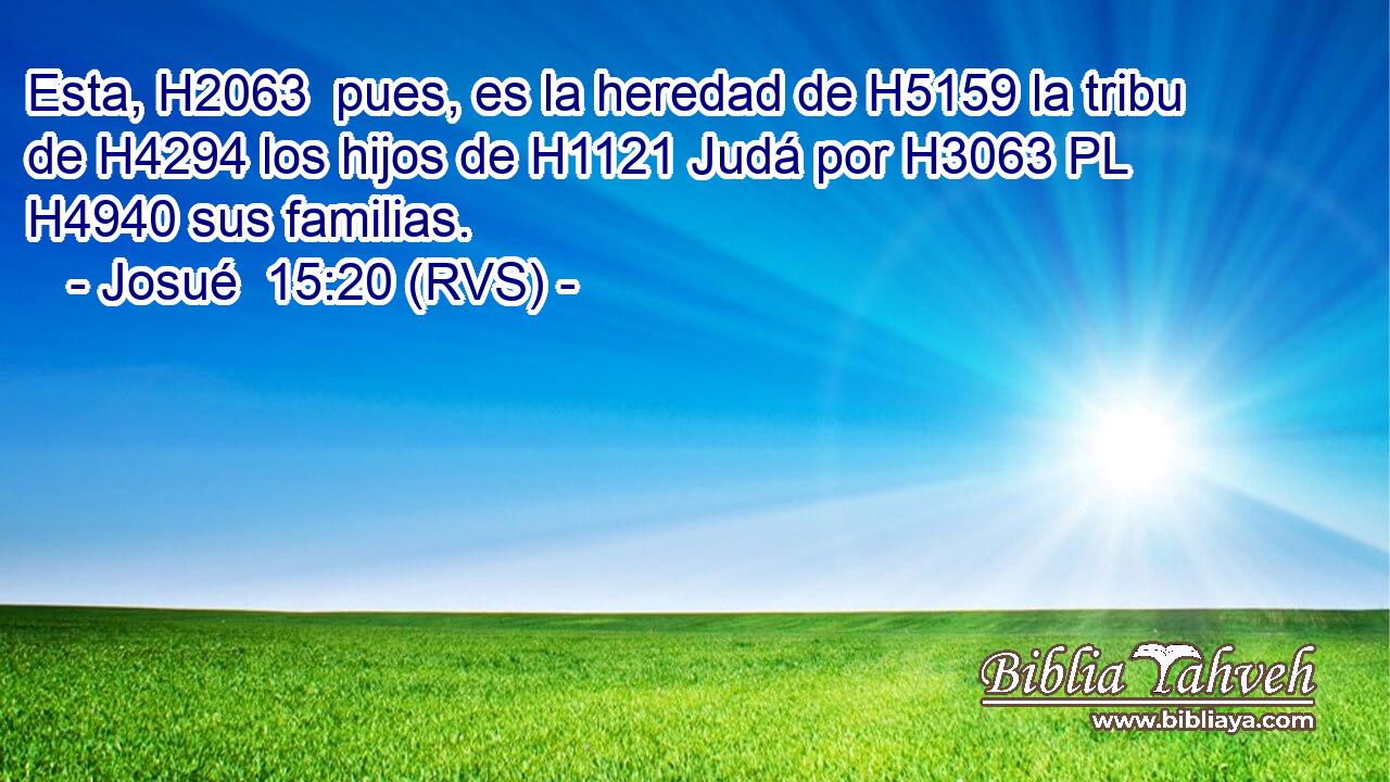 Esta, H2063  pues, es la heredad de H5159 la tribu de H4294 los hijos de H1121 Judá por H3063 PL H4940 sus familias. 