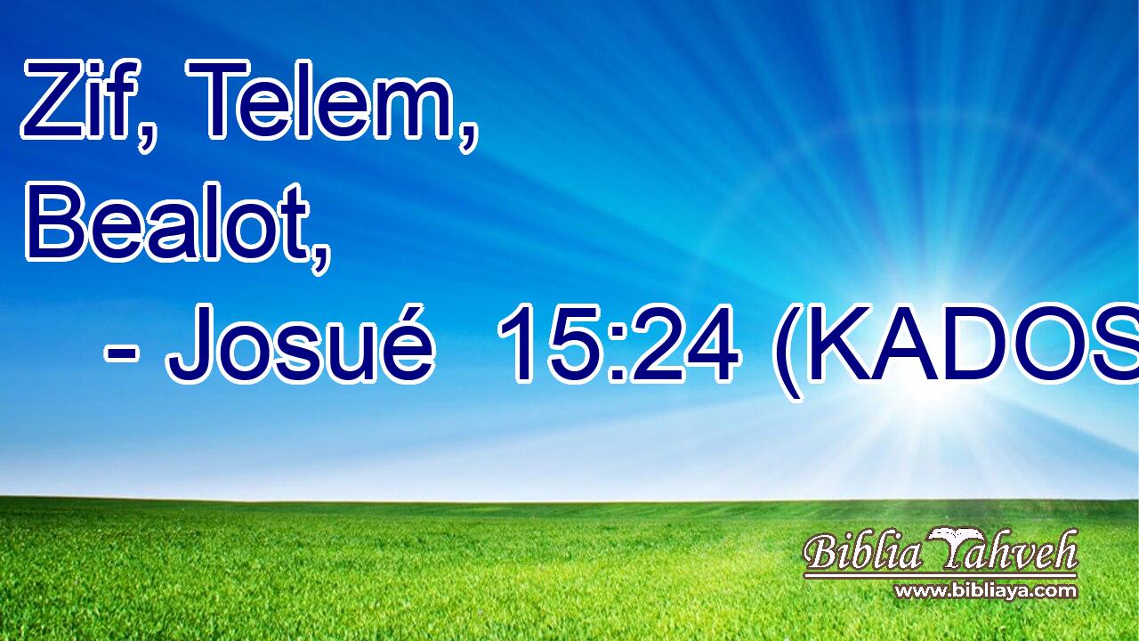 Zif, Telem, Bealot, 