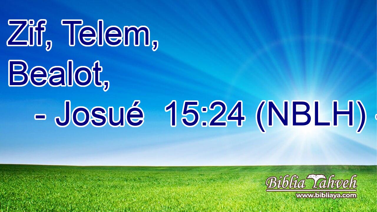  Zif, Telem, Bealot, 