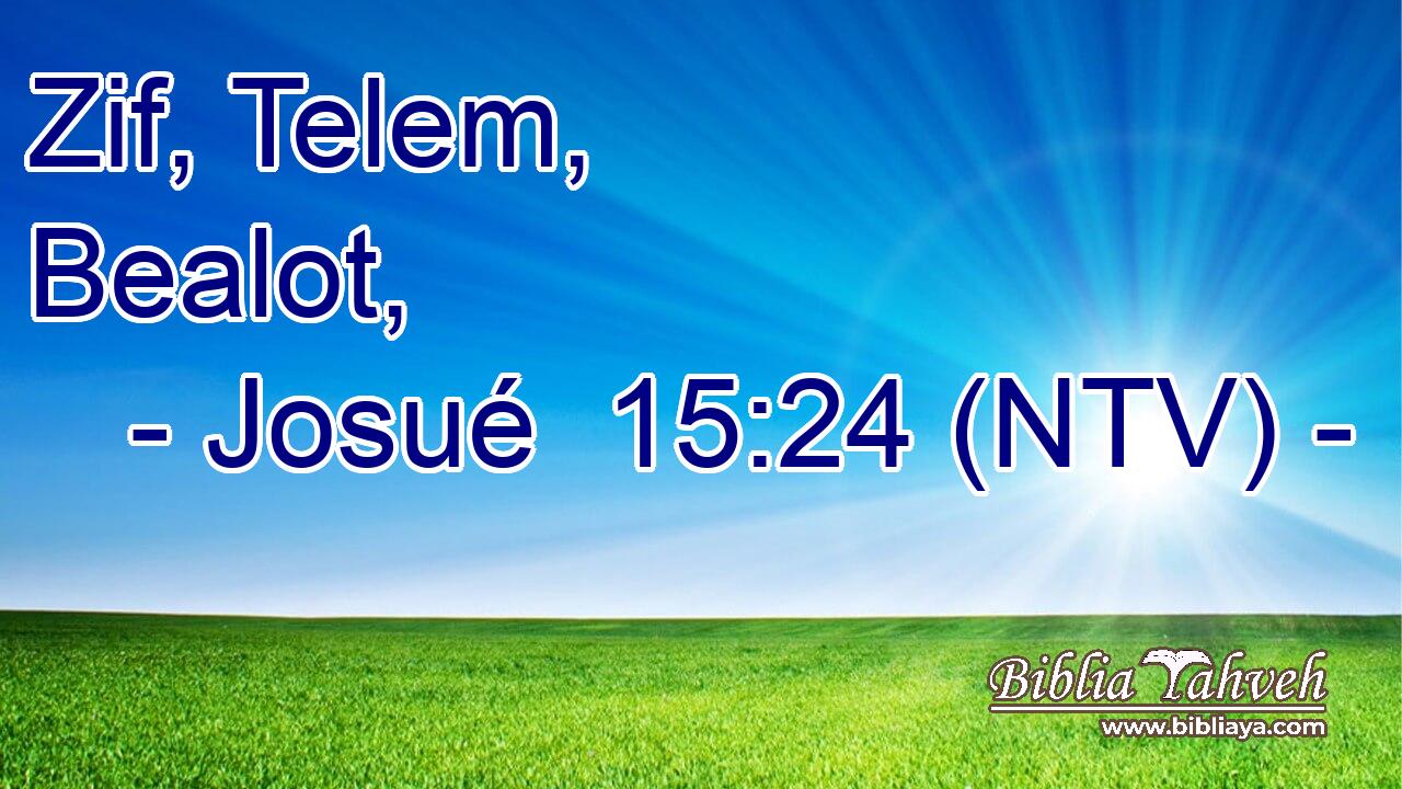 Zif, Telem, Bealot,