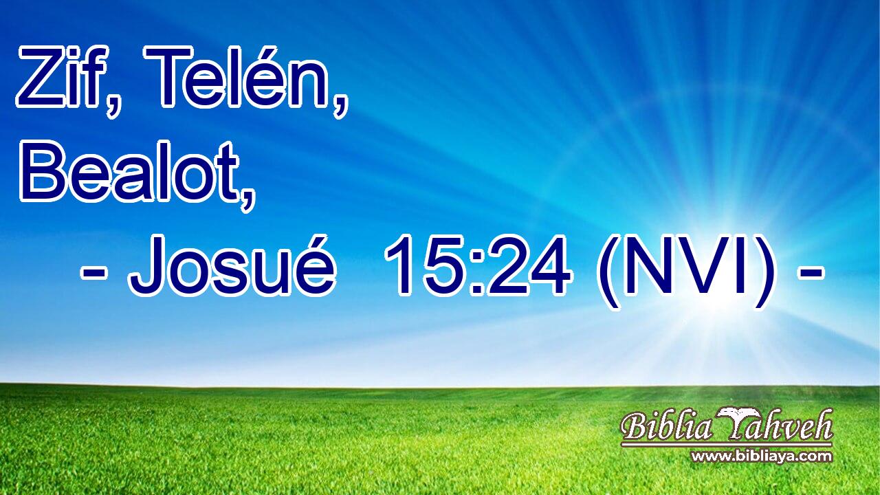  Zif, Telén, Bealot, 