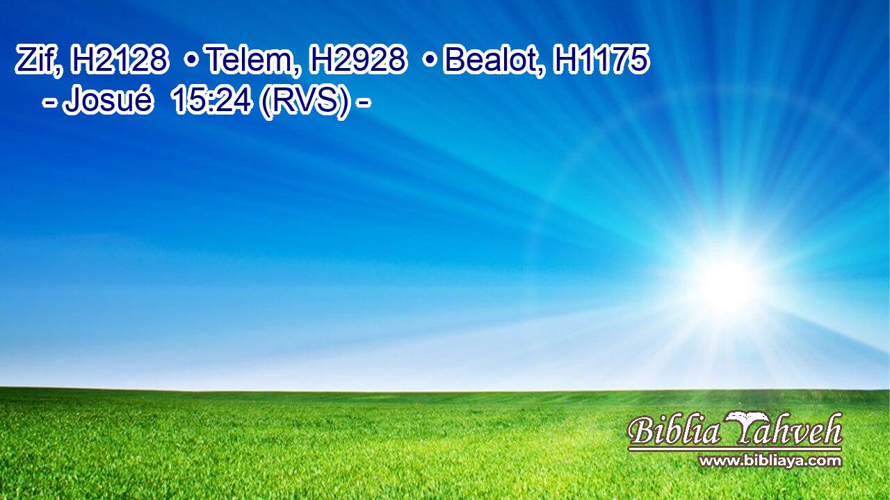 Zif, H2128  • Telem, H2928  • Bealot, H1175  