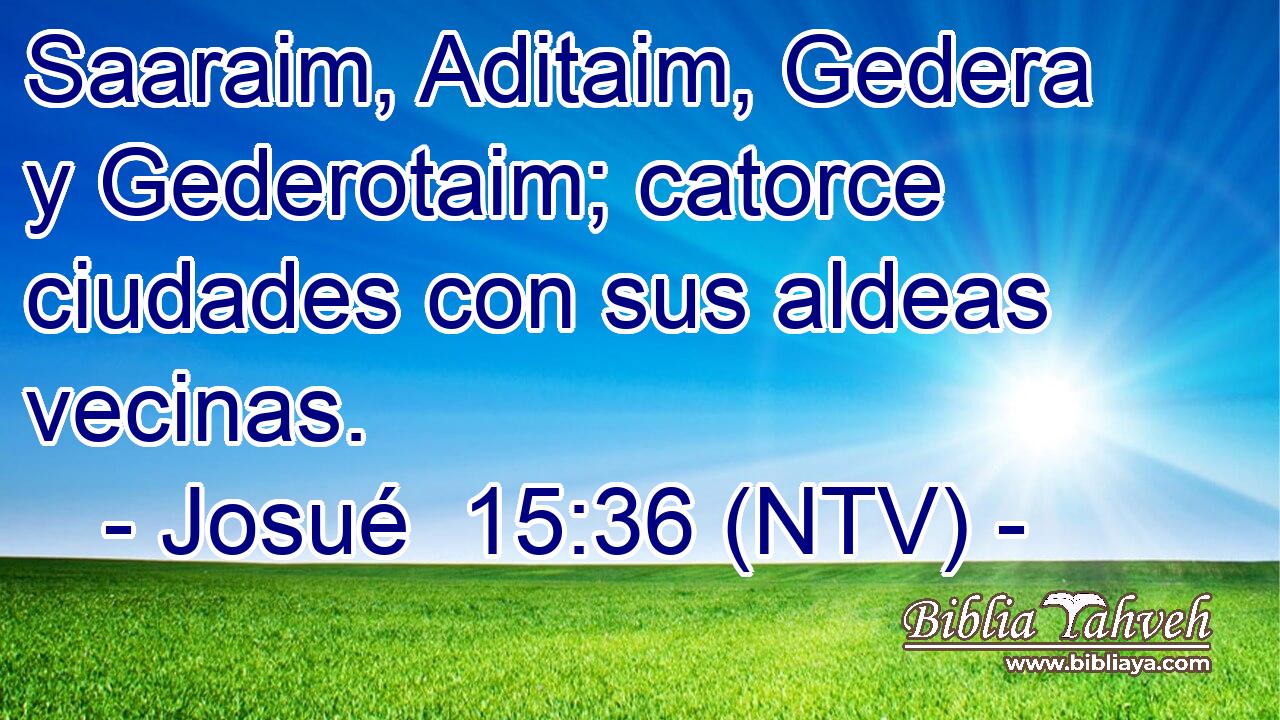Saaraim, Aditaim, Gedera y Gederotaim; catorce ciudades con sus aldeas vecinas.