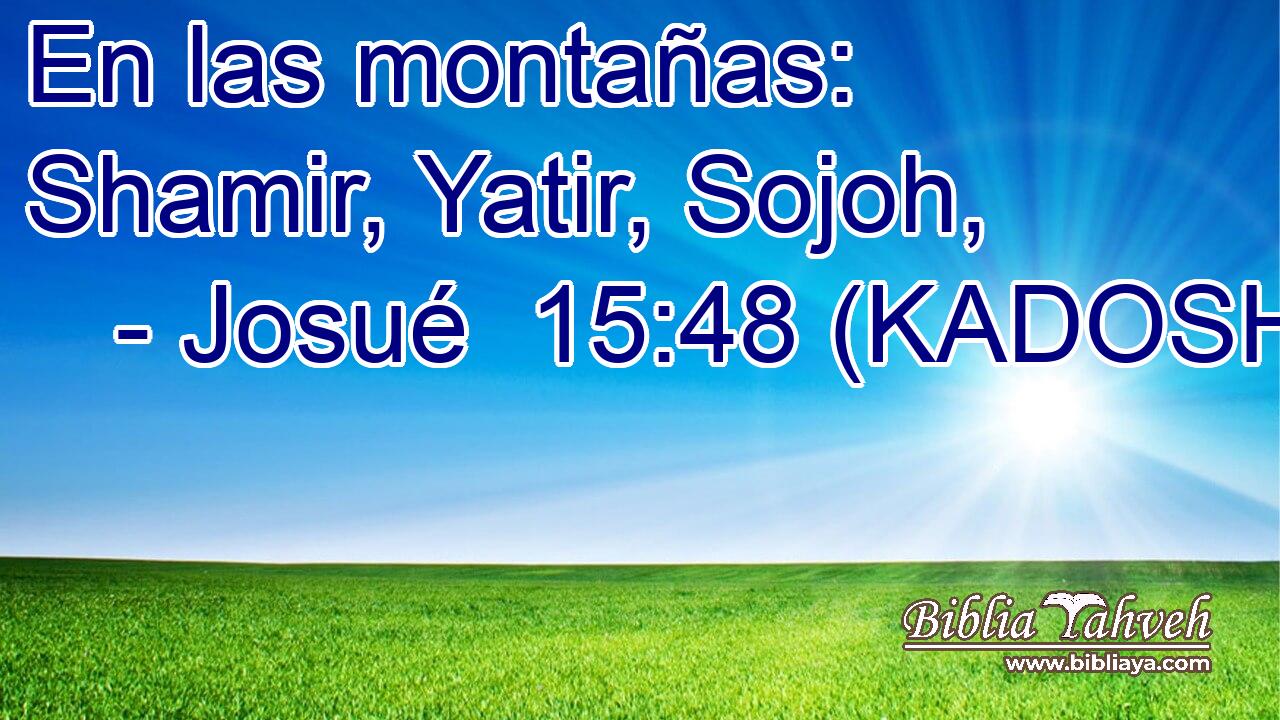  En las montañas: Shamir, Yatir, Sojoh, 