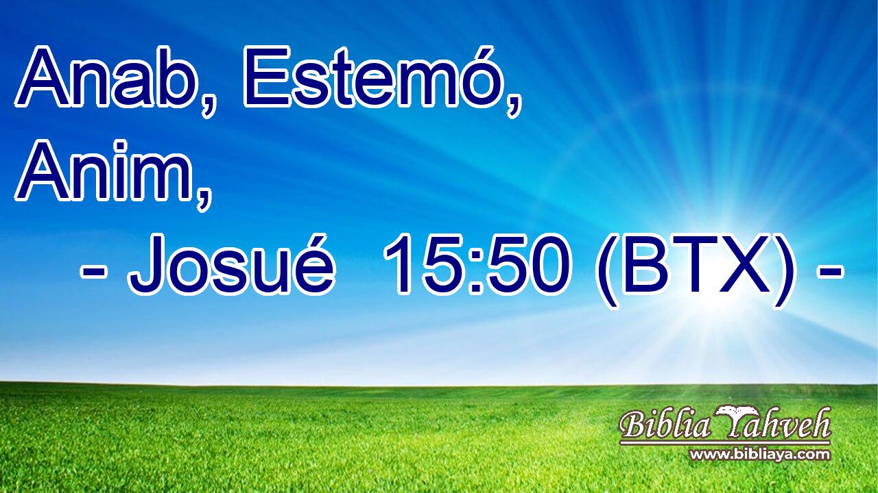 Anab, Estemó, Anim,
