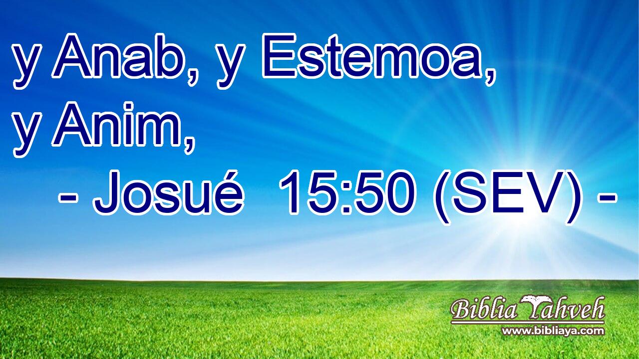 y Anab, y Estemoa, y Anim,