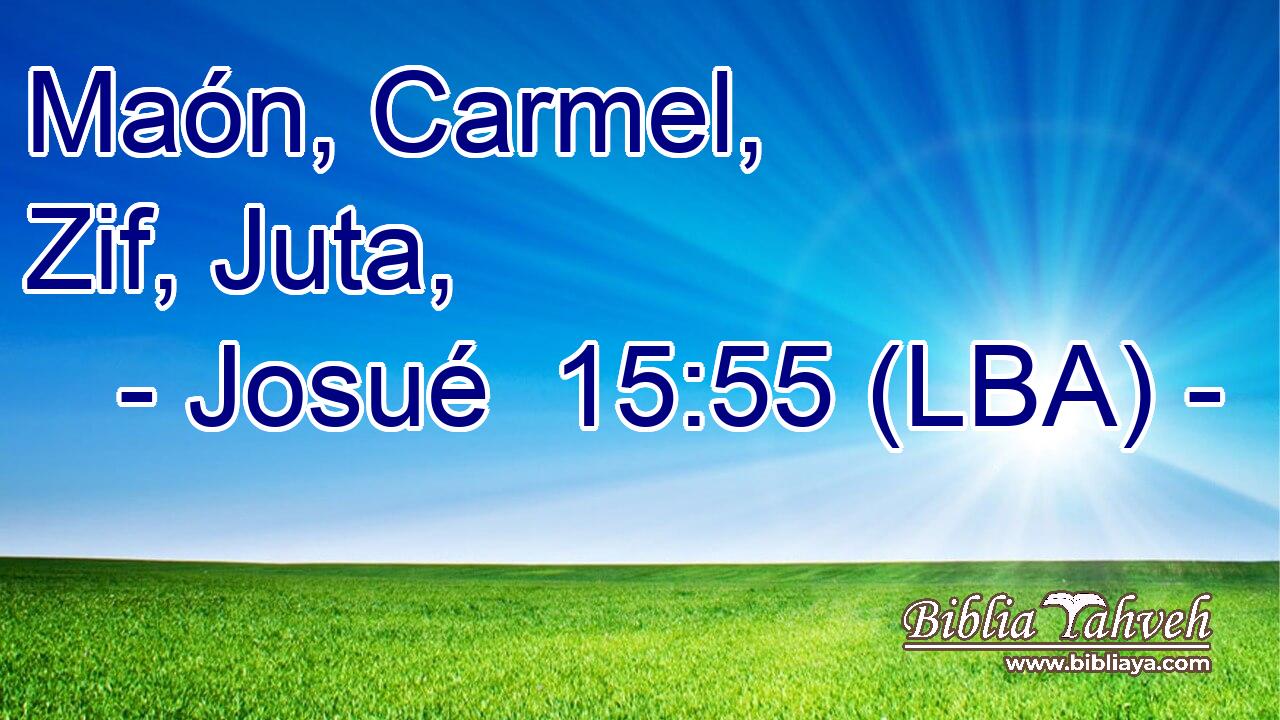 Maón, Carmel, Zif, Juta,