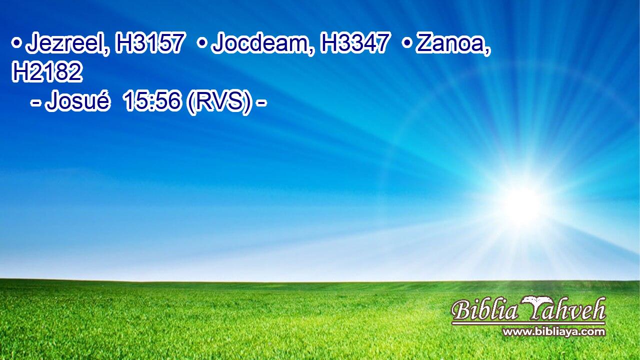 • Jezreel, H3157  • Jocdeam, H3347  • Zanoa, H2182  