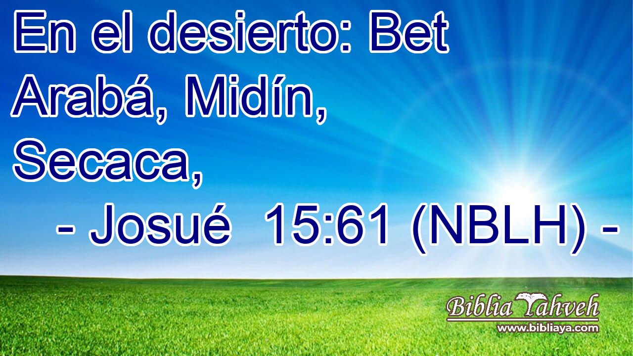  En el desierto: Bet Arabá, Midín, Secaca, 
