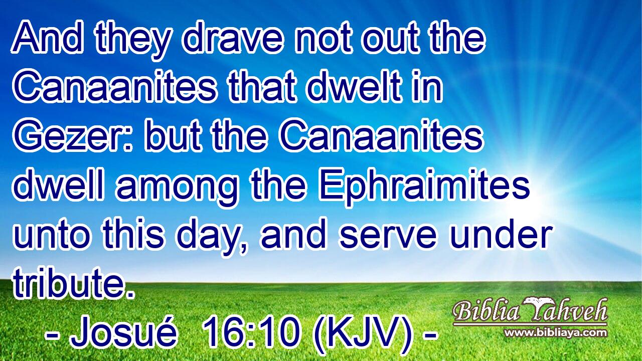 And they drave not out the Canaanites that dwelt in Gezer: but the Canaanites dwell among the Ephraimites unto this day, and serve under tribute.