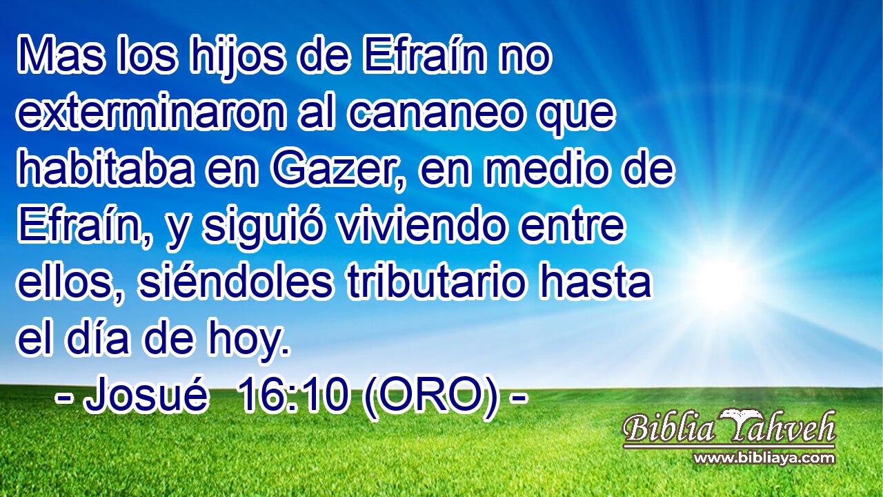  Mas los hijos de Efraín no exterminaron al cananeo que habitaba en Gazer, en medio de Efraín, y siguió viviendo entre ellos, siéndoles tributario hasta el día de hoy. 
