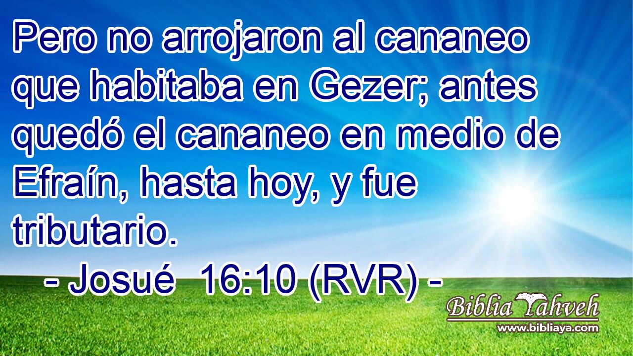 Pero no arrojaron al cananeo que habitaba en Gezer; antes quedó el cananeo en medio de Efraín, hasta hoy, y fue tributario.