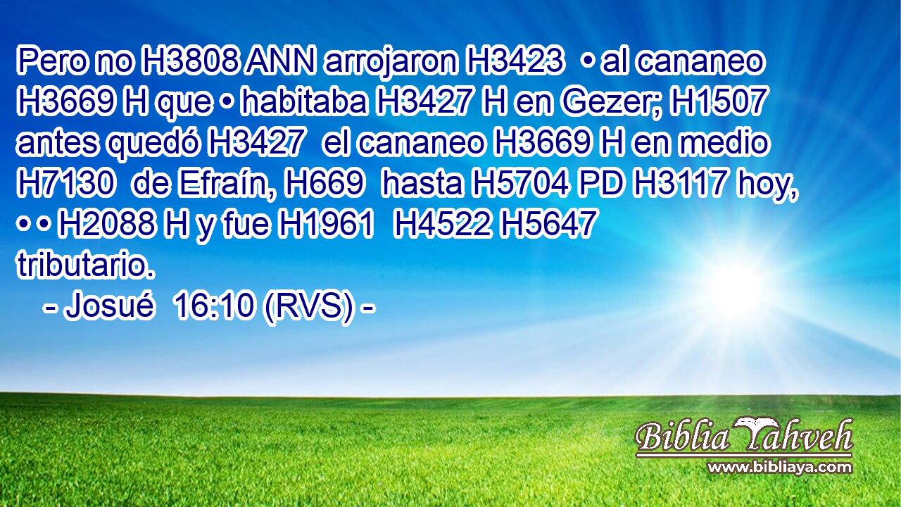 Pero no H3808 ANN arrojaron H3423  • al cananeo H3669 H que • habitaba H3427 H en Gezer; H1507  antes quedó H3427  el cananeo H3669 H en medio H7130  de Efraín, H669  hasta H5704 PD H3117 hoy, • • H2088 H y fue H1961  H4522 H5647 tributario. 