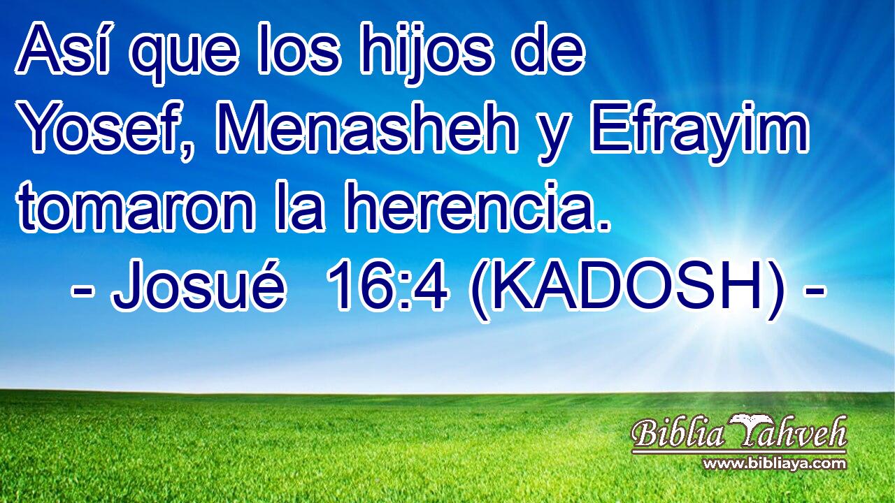  Así que los hijos de Yosef, Menasheh y Efrayim tomaron la herencia. 