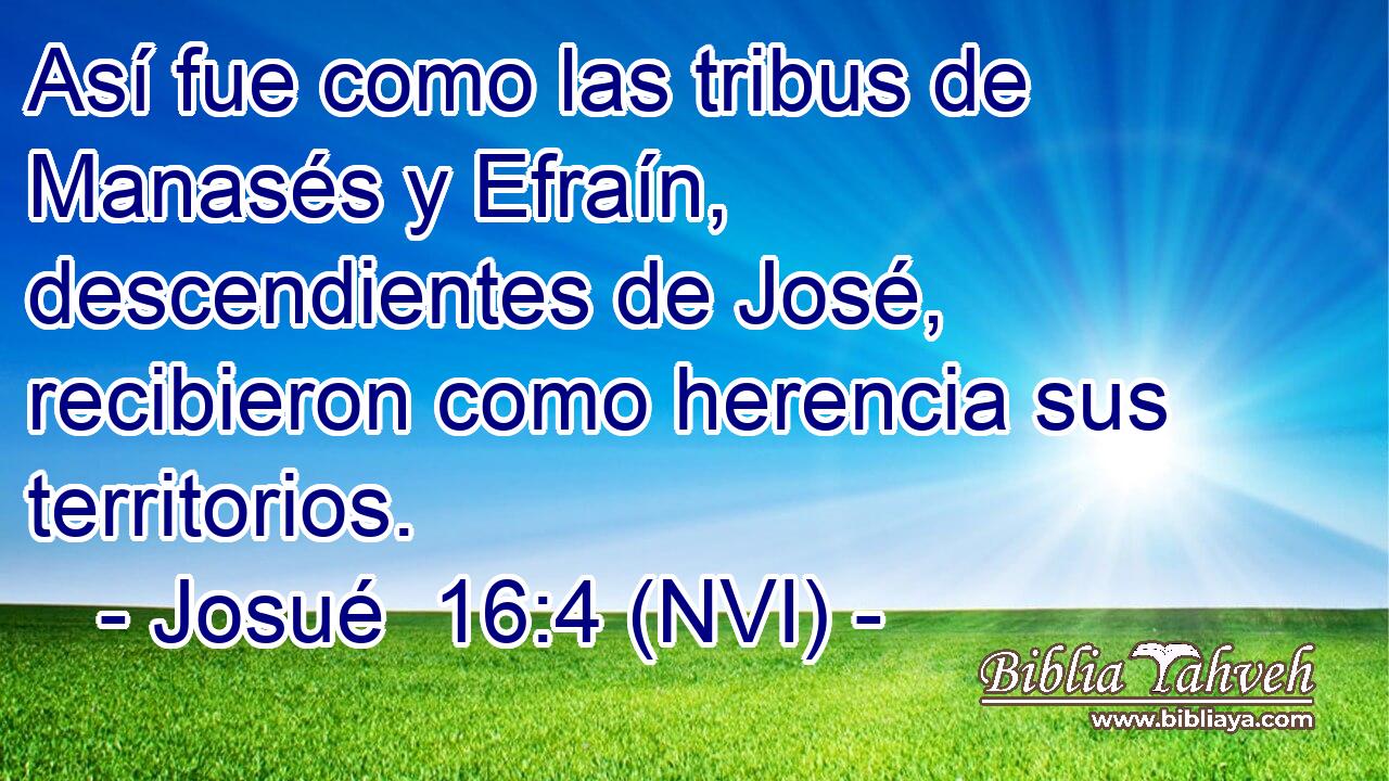  Así fue como las tribus de Manasés y Efraín, descendientes de José, recibieron como herencia sus territorios. 